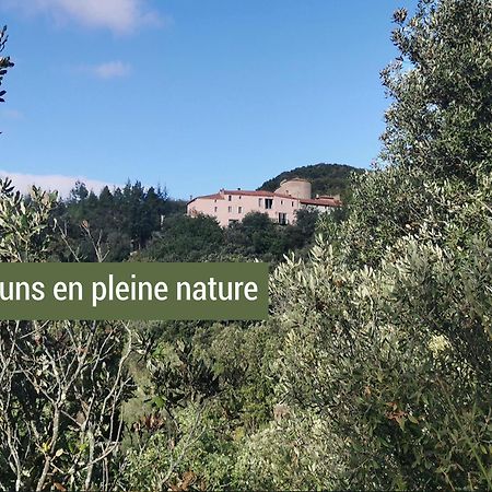 Pyrénées Mon Amour Felluns Exterior foto