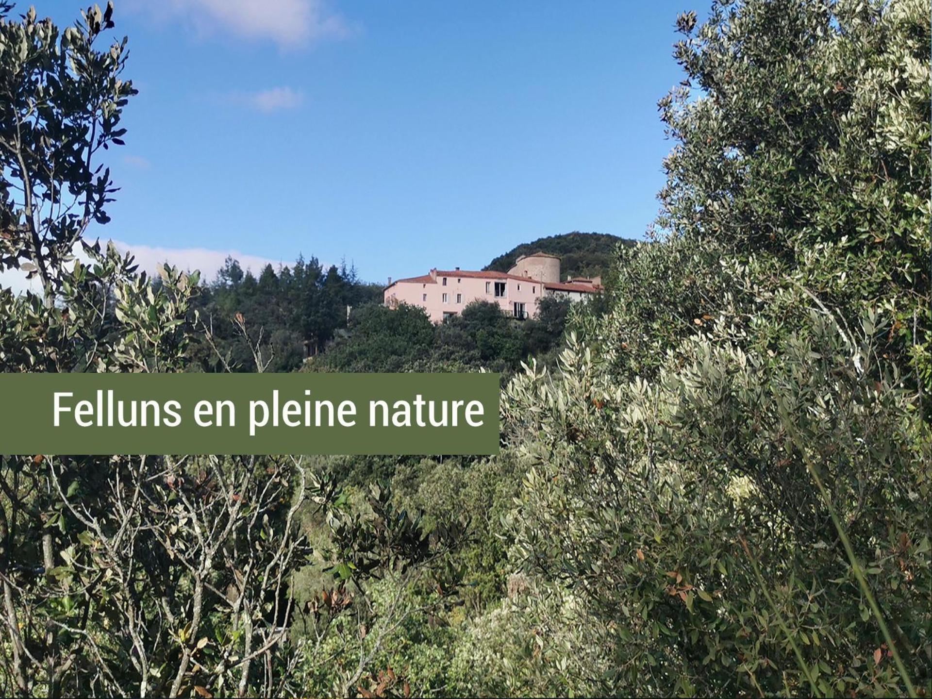 Pyrénées Mon Amour Felluns Exterior foto