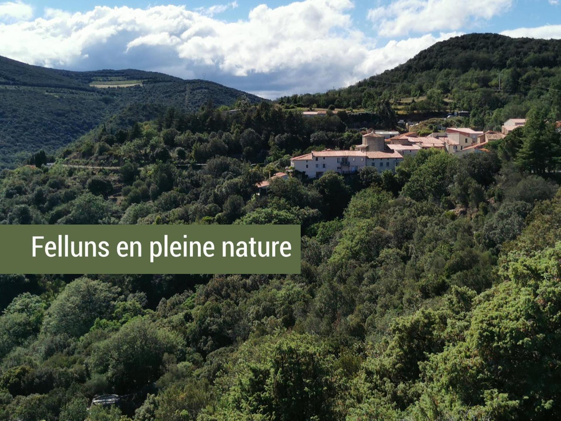 Pyrénées Mon Amour Felluns Exterior foto